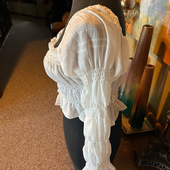 Princess Poly Cropped Blouse - Picture 4 of 8